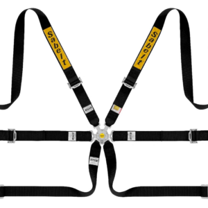 import placeholder for sbl stl srs 2